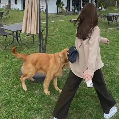 羞怯的女人